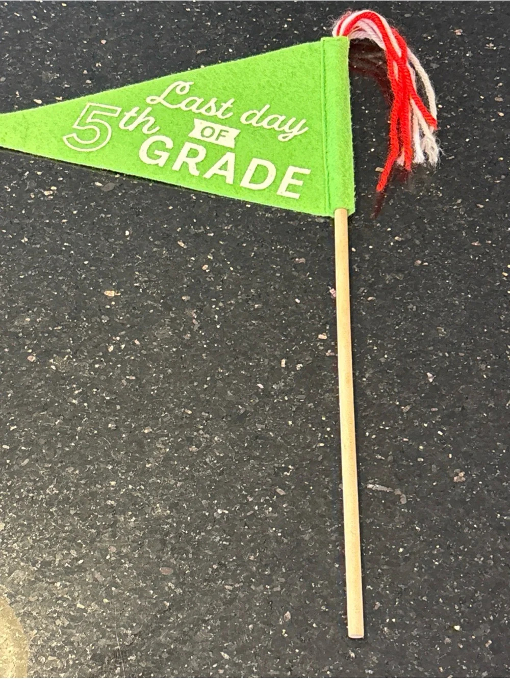 Target Bullseye First Last Day School 5th Grade Felt Pennant Flag NWOT